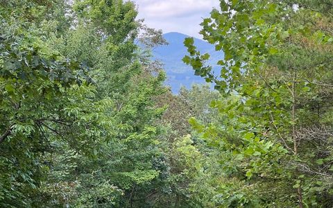 Vacant Land For Sale - LOT 11 The Preserve #11<br/> BRASSTOWN, NC 28902