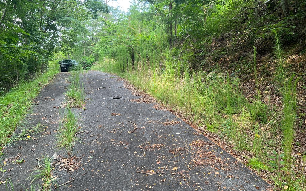 Lot 11 The Preserve #11, BRASSTOWN, North Carolina image 13