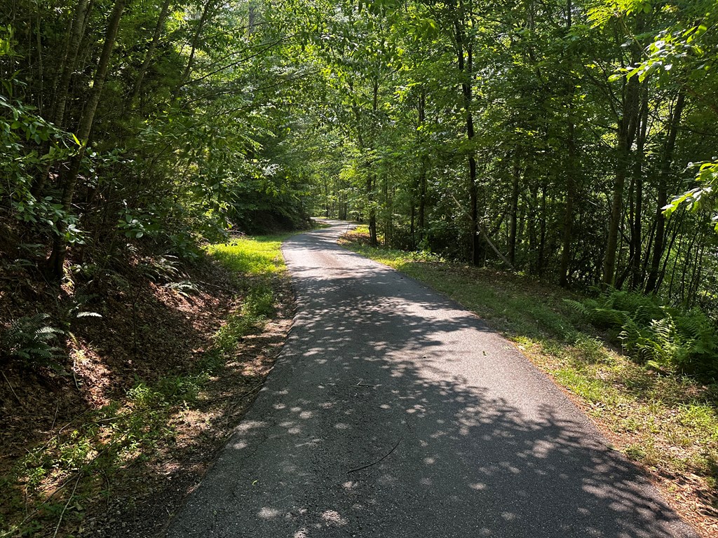 Lot 16 Freedom Pass Dr #16, MURPHY, North Carolina image 4