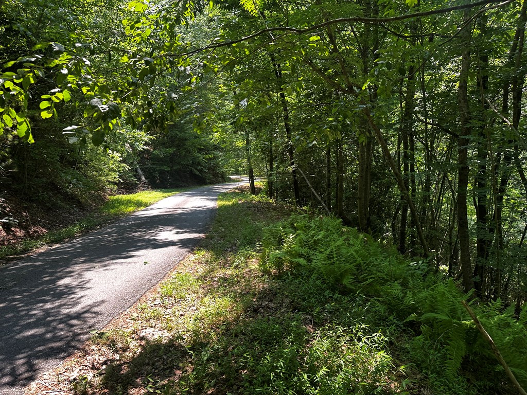 Lot 16 Freedom Pass Dr #16, MURPHY, North Carolina image 8