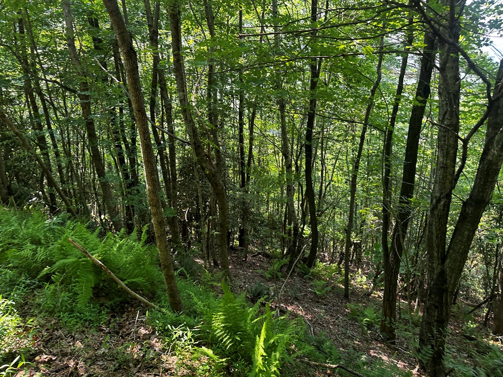 Lot 16 Freedom Pass Dr #16, MURPHY, North Carolina image 7