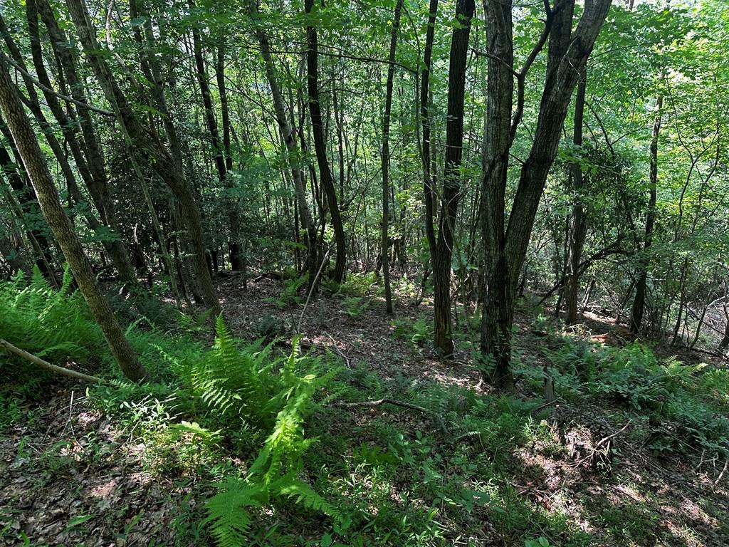 Lot 16 Freedom Pass Dr #16, MURPHY, North Carolina image 1
