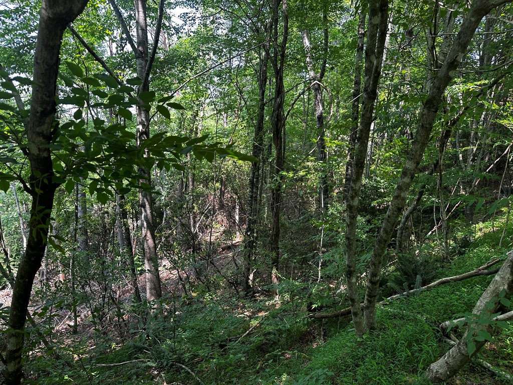 Lot 16 Freedom Pass Dr #16, MURPHY, North Carolina image 6