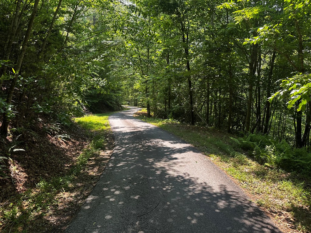 Lot 16 Freedom Pass Dr #16, MURPHY, North Carolina image 3