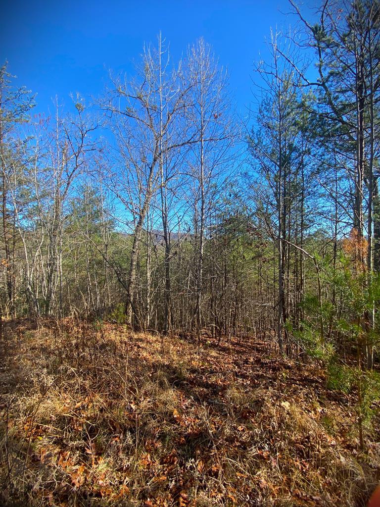 Lot 12 Hidden Lane, MURPHY, North Carolina image 8