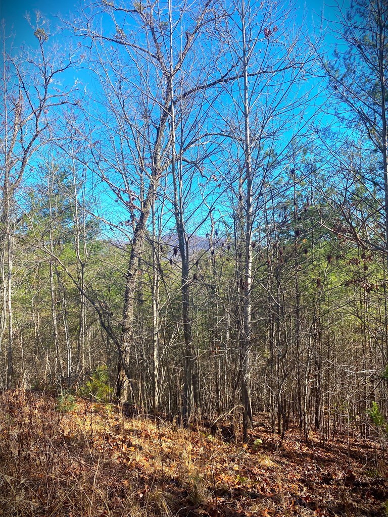 Lot 12 Hidden Lane, MURPHY, North Carolina image 10