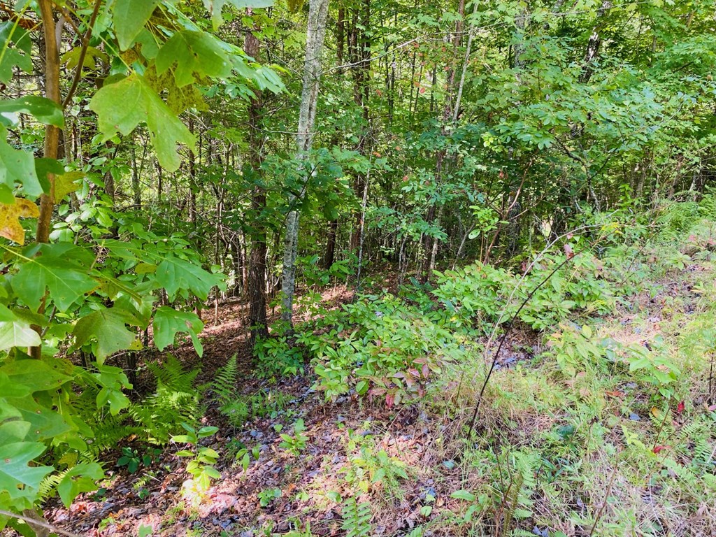 Lot 12 Hidden Lane, MURPHY, North Carolina image 7