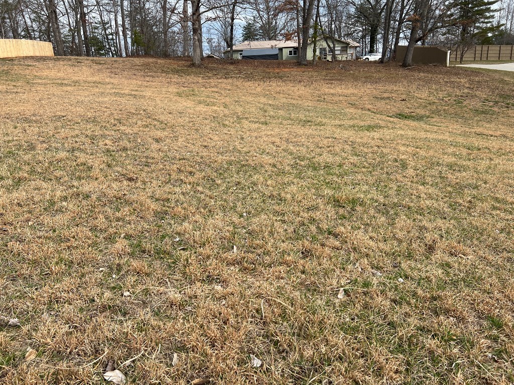 Lot 14 Hidden Fields Estate #14, HIAWASSEE, Georgia image 3