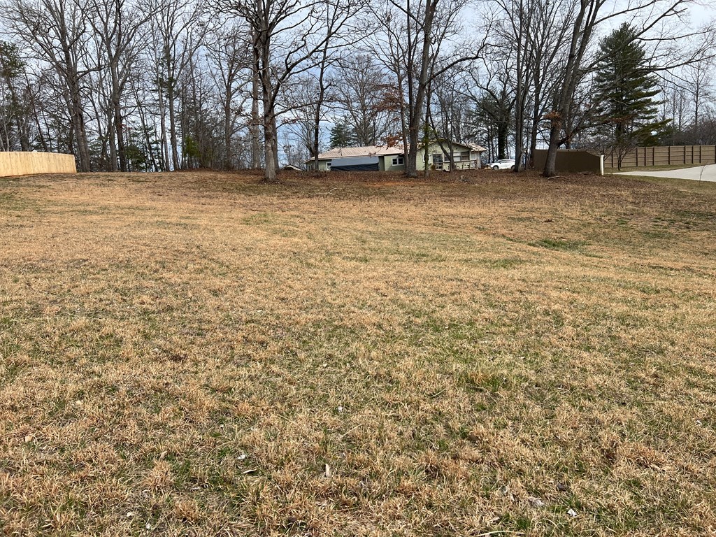 Lot 14 Hidden Fields Estate #14, HIAWASSEE, Georgia image 17