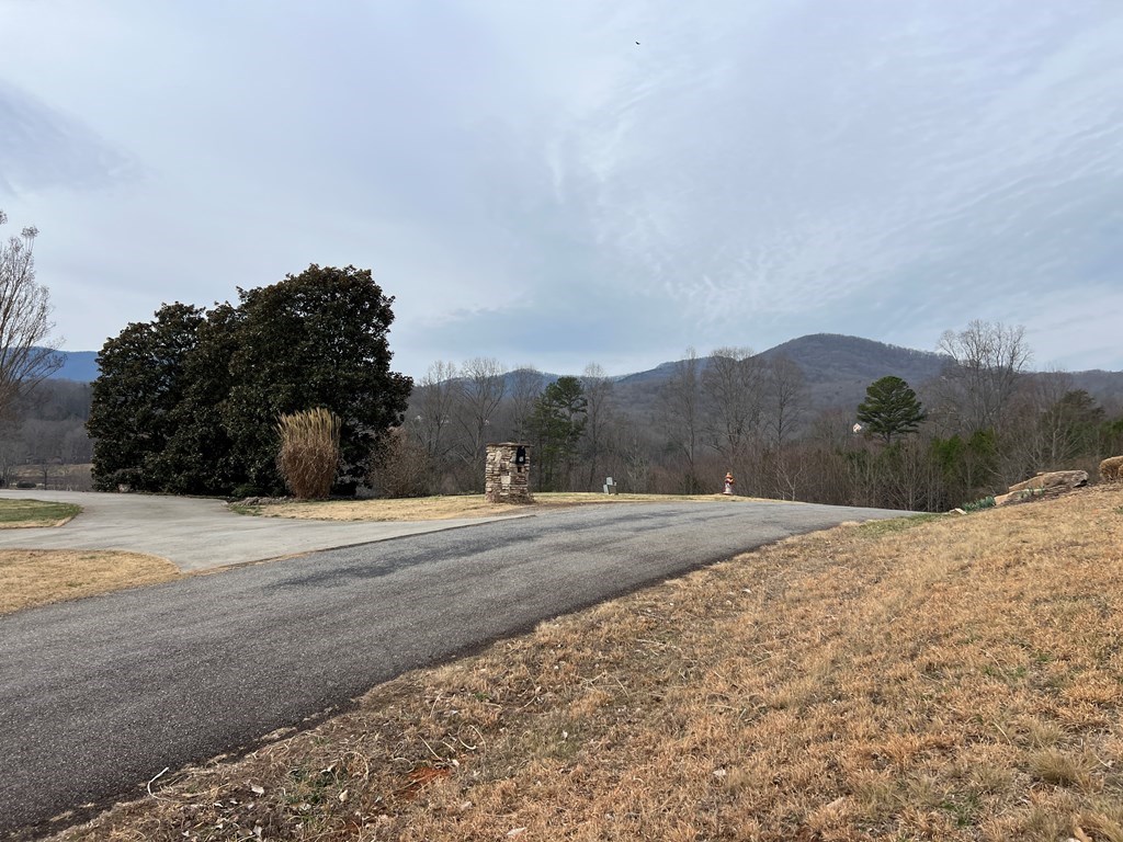 Lot 14 Hidden Fields Estate #14, HIAWASSEE, Georgia image 8