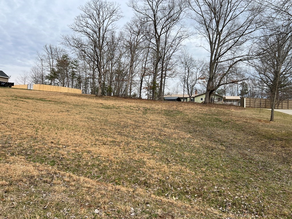 Lot 14 Hidden Fields Estate #14, HIAWASSEE, Georgia image 2