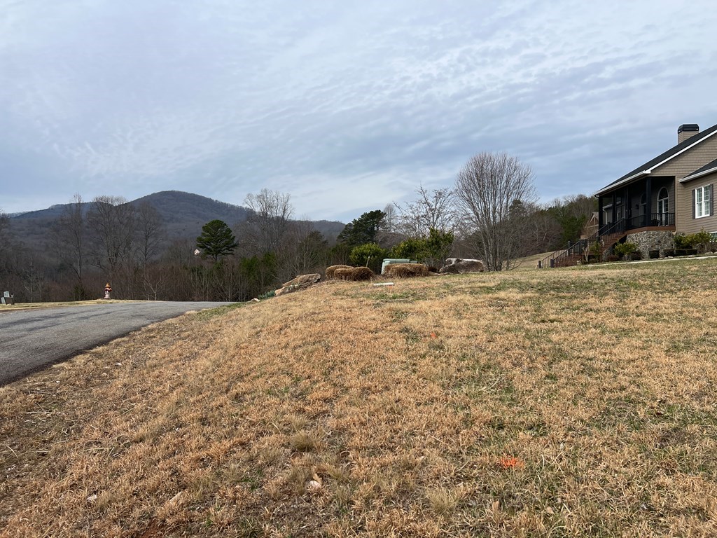 Lot 14 Hidden Fields Estate #14, HIAWASSEE, Georgia image 10