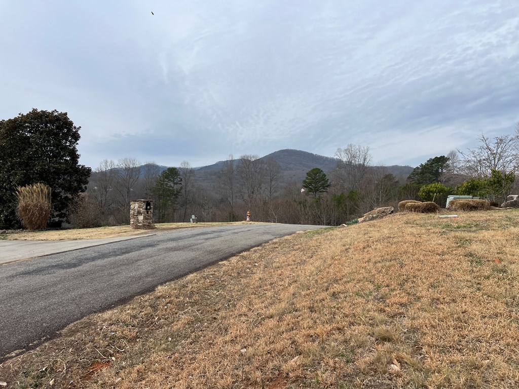 Lot 14 Hidden Fields Estate #14, HIAWASSEE, Georgia image 9