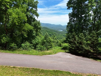 Lot 10 Hidden Summit #10, HIAWASSEE, Georgia image 7