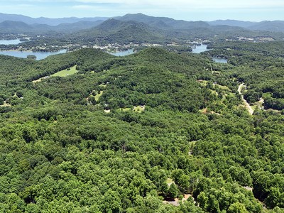 Lot 10 Hidden Summit #10, HIAWASSEE, Georgia image 20