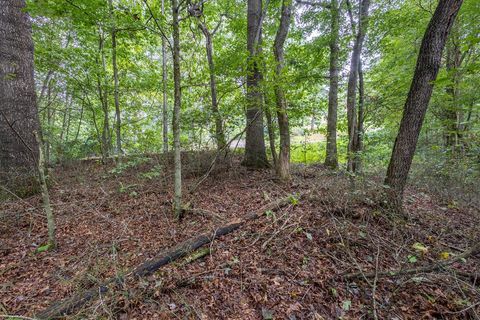 Vacant Land For Sale - 3 AC Chestnut Flats Rd<br/> Cherokee County, ANDREWS, NC 28901