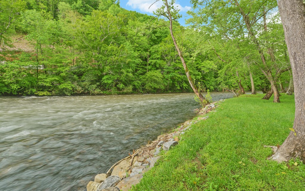 312 Theron Mccray Road, HAYESVILLE, North Carolina image 47