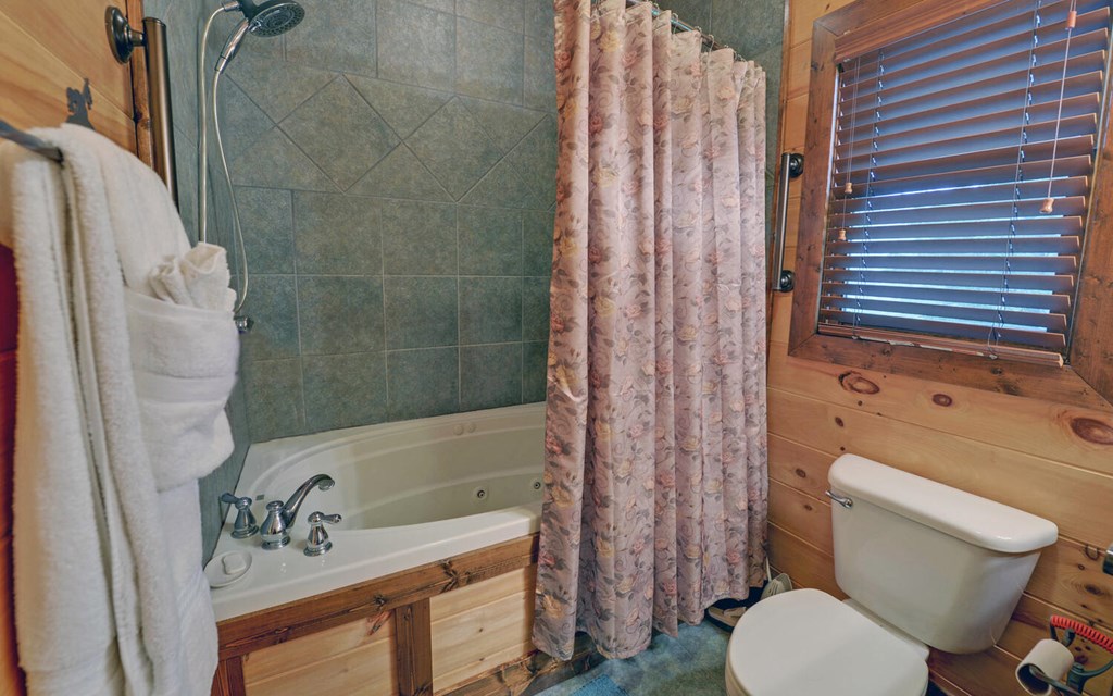 312 Theron Mccray Road, HAYESVILLE, North Carolina image 27