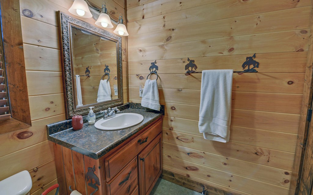 312 Theron Mccray Road, HAYESVILLE, North Carolina image 10