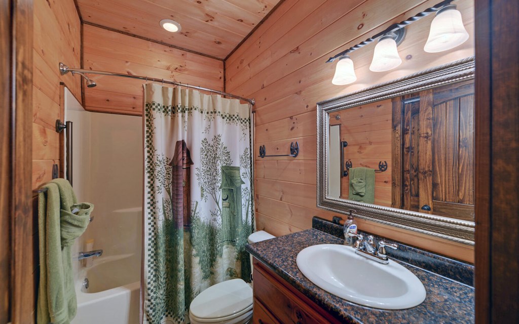 312 Theron Mccray Road, HAYESVILLE, North Carolina image 12