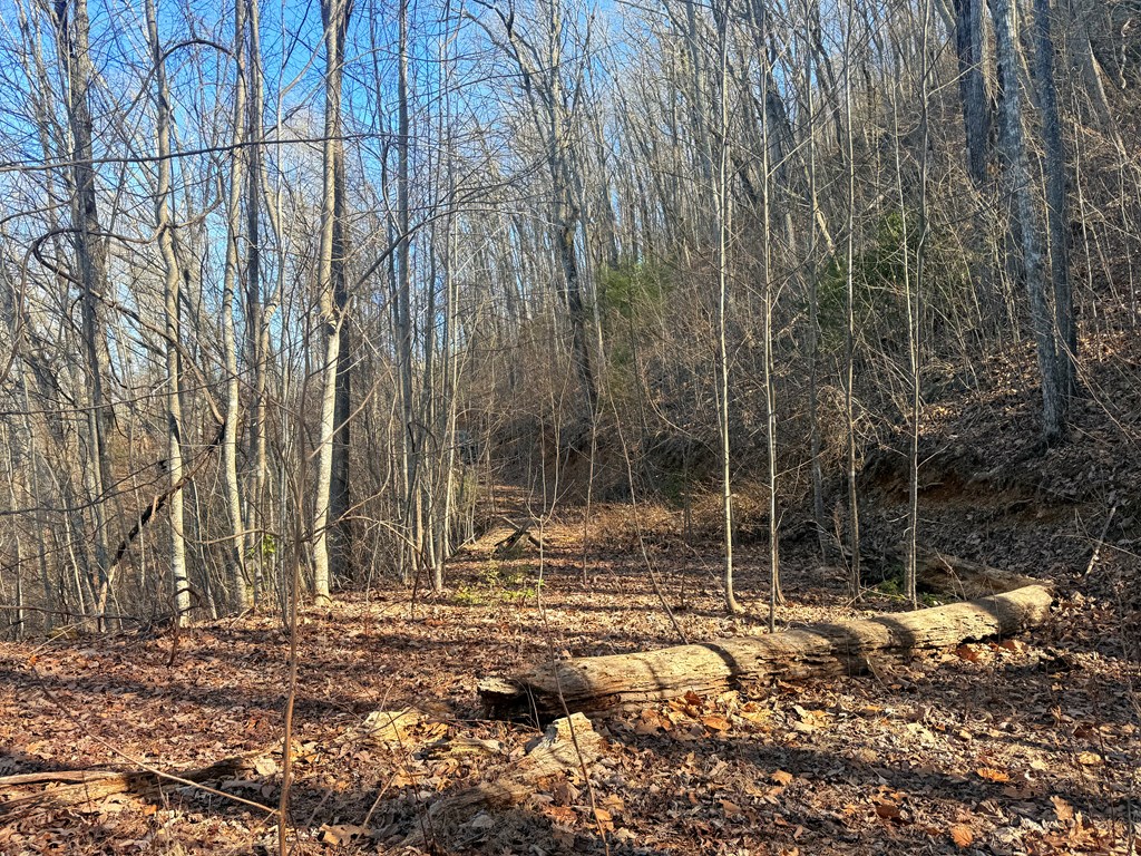 Lot 63 Spring Branch Dr #63, MURPHY, North Carolina image 6