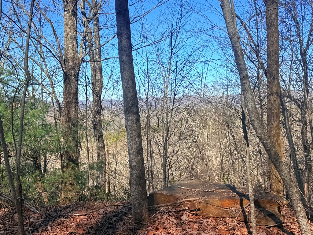 Lot 63 Spring Branch Dr #63, MURPHY, North Carolina image 11