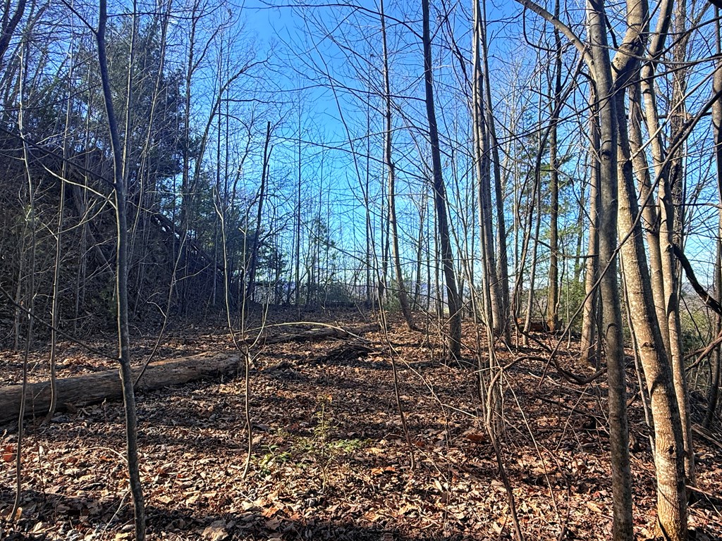 Lot 63 Spring Branch Dr #63, MURPHY, North Carolina image 13