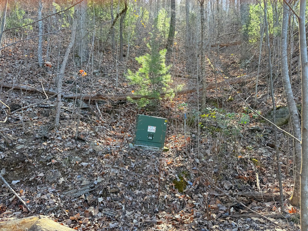 Lot 63 Spring Branch Dr #63, MURPHY, North Carolina image 5