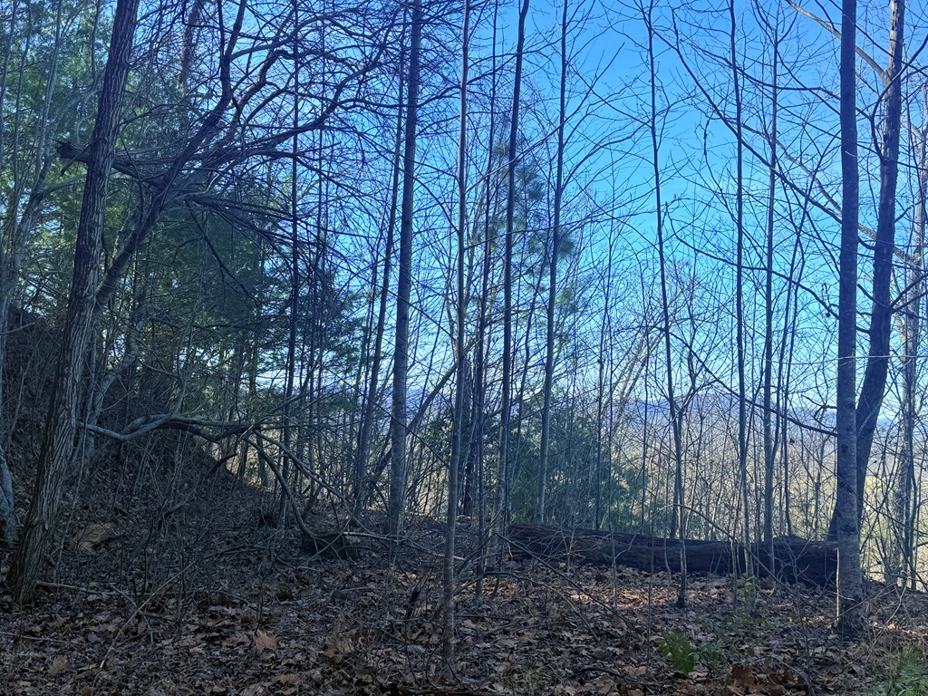 Lot 63 Spring Branch Dr #63, MURPHY, North Carolina image 8