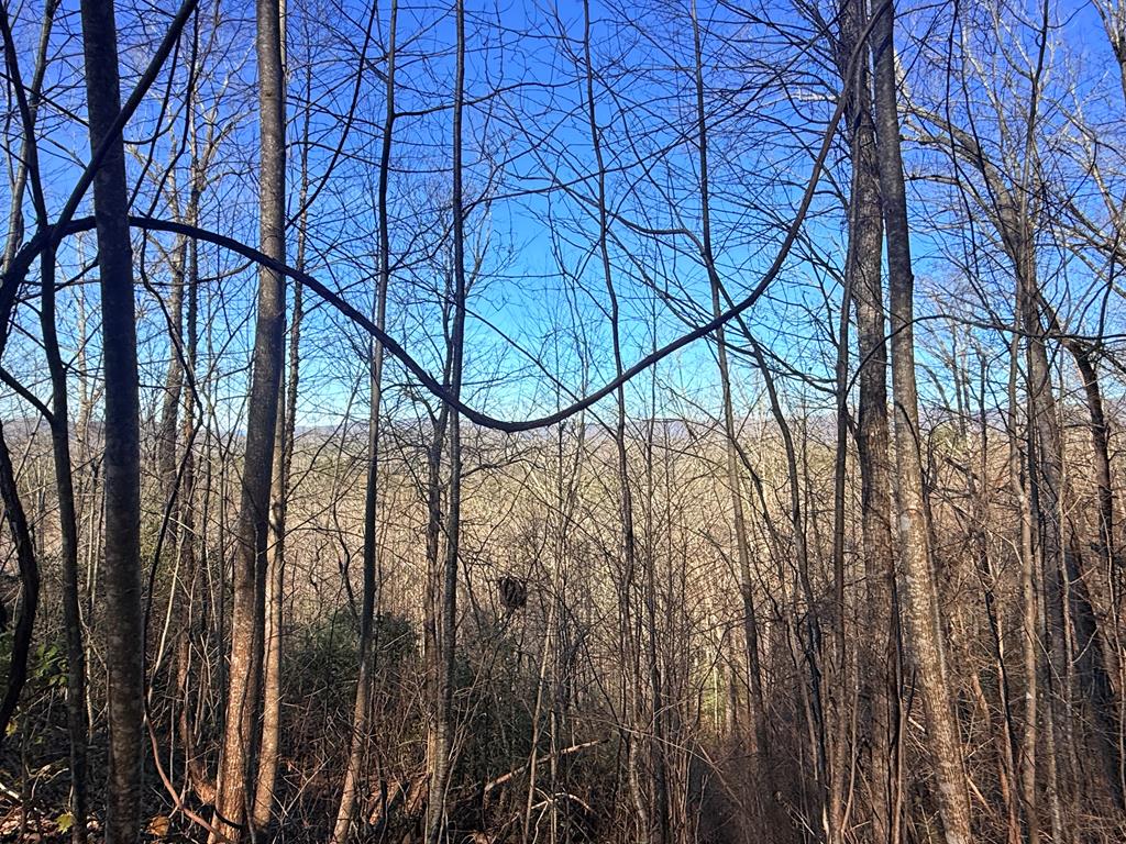 Lot 63 Spring Branch Dr #63, MURPHY, North Carolina image 1