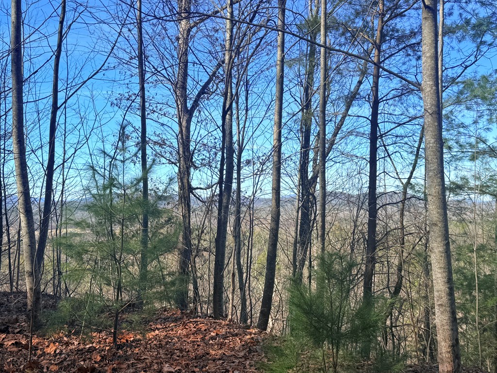 Lot 63 Spring Branch Dr #63, MURPHY, North Carolina image 10