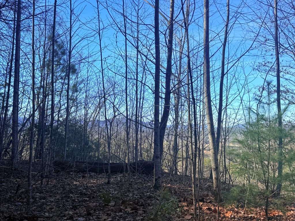 Lot 63 Spring Branch Dr #63, MURPHY, North Carolina image 9