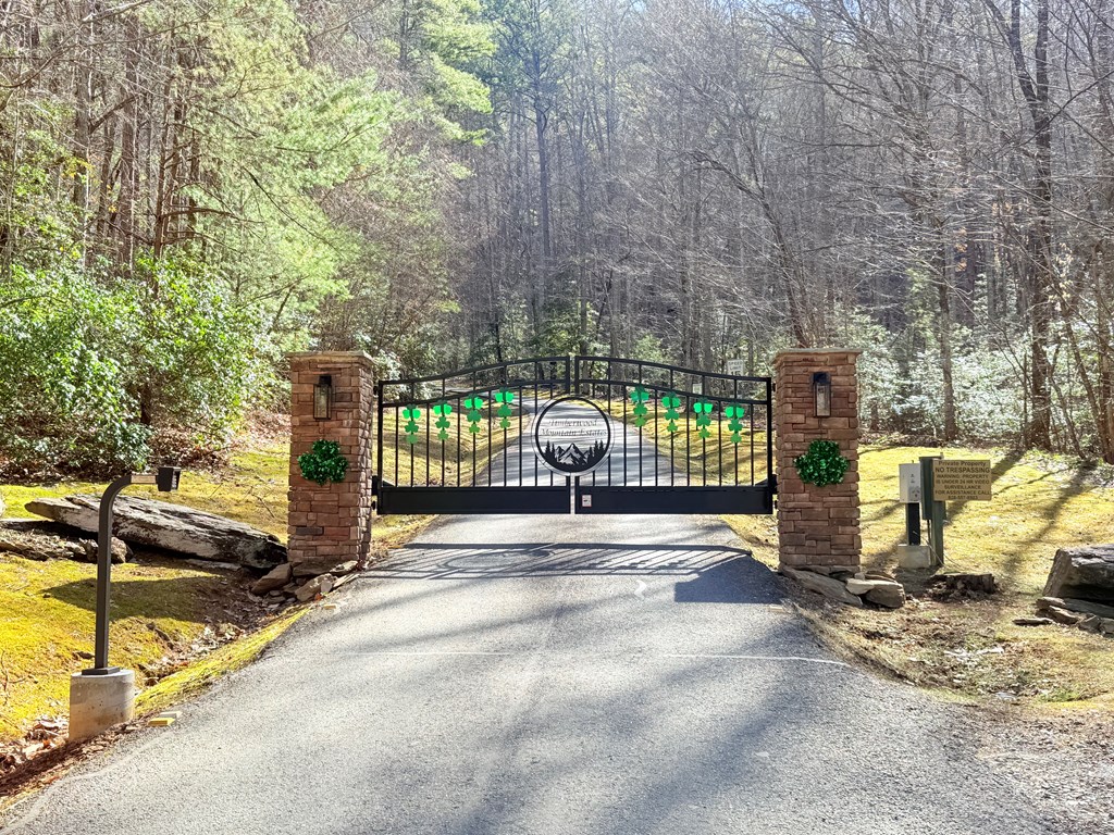 Lot 63 Spring Branch Dr #63, MURPHY, North Carolina image 3