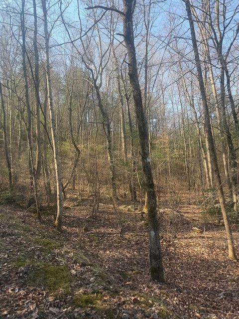 Vacant Land For Sale - LOT 12 Rainbow Valley Dr #12<br/> MURPHY, NC 28906