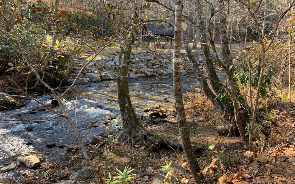 Lot 49 Fires Creek Cove #49, HAYESVILLE, North Carolina image 13