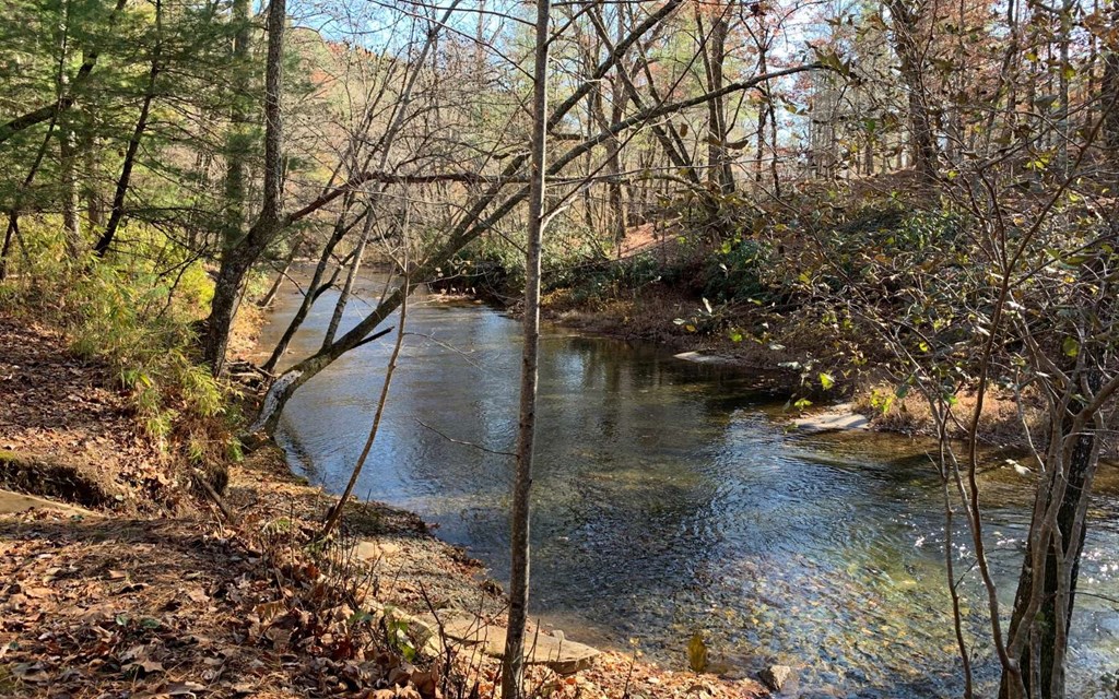 Lot 49 Fires Creek Cove #49, HAYESVILLE, North Carolina image 4