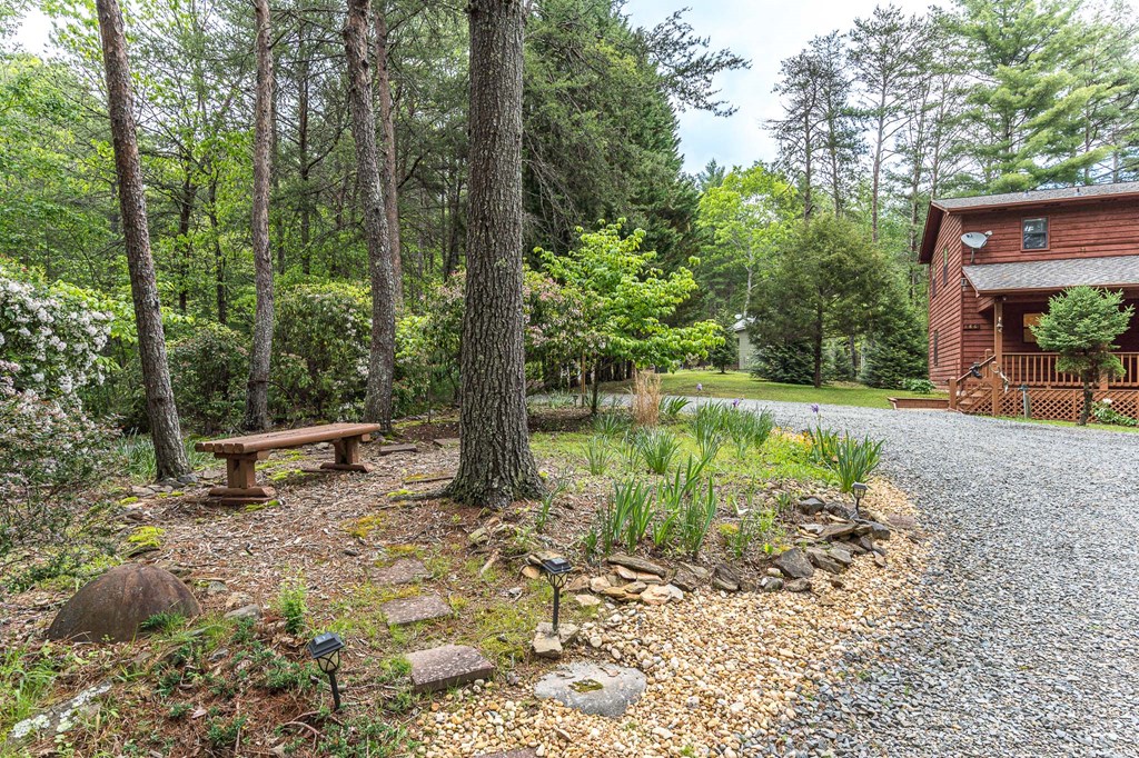 186 Brasstown Hills Rd, BRASSTOWN, North Carolina image 46