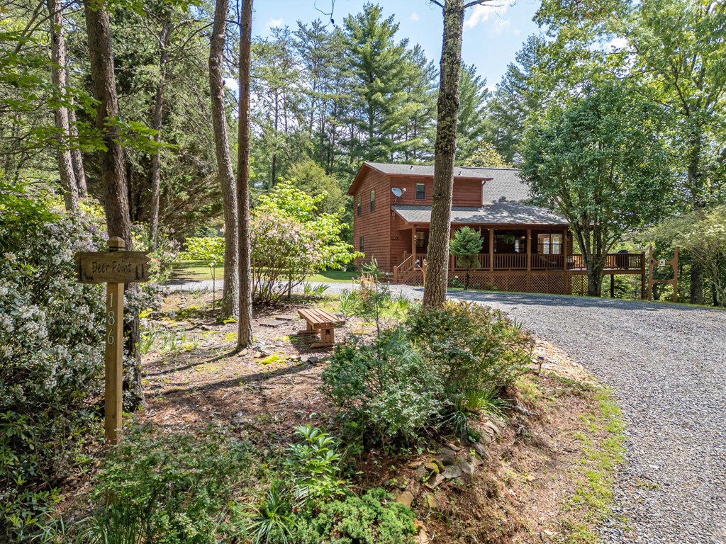 186 Brasstown Hills Rd, BRASSTOWN, North Carolina image 2