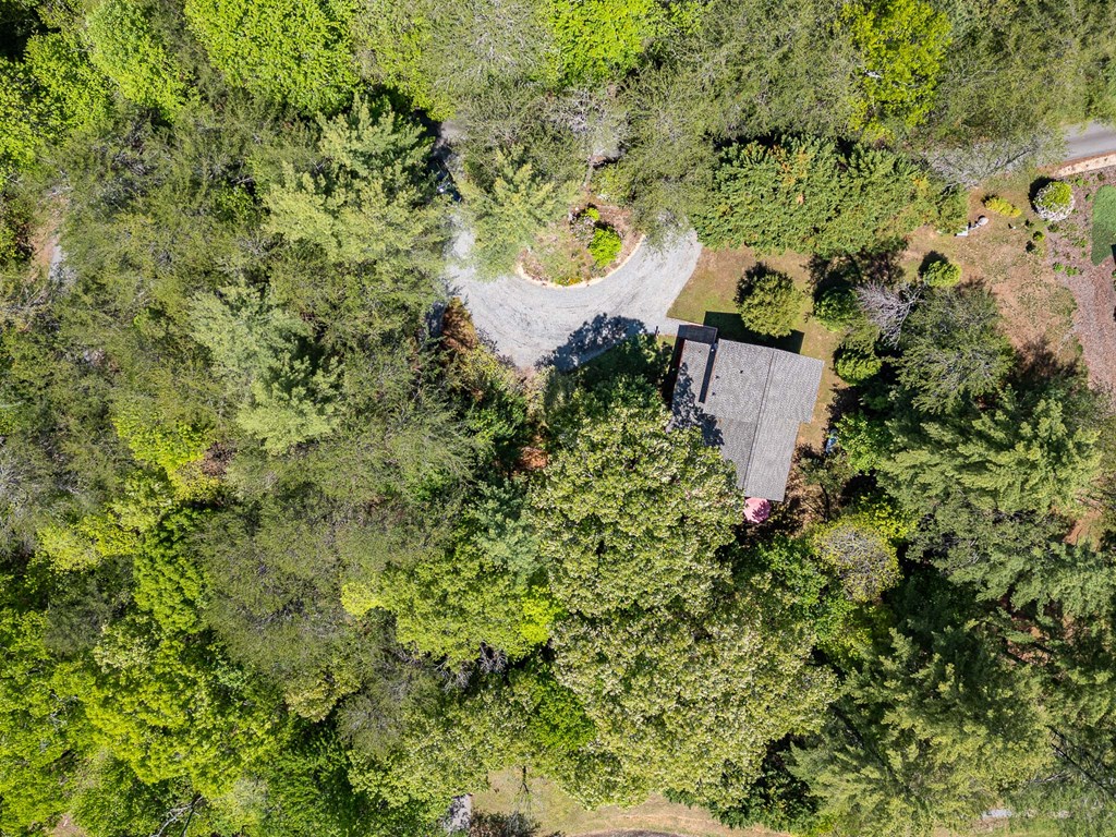 186 Brasstown Hills Rd, BRASSTOWN, North Carolina image 47