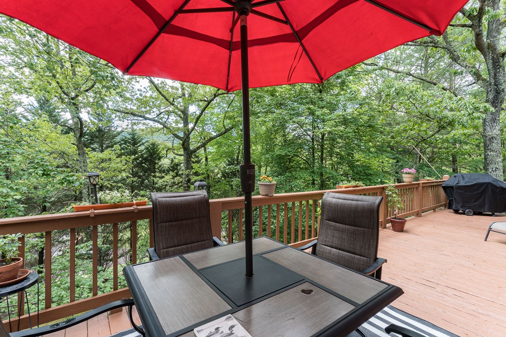186 Brasstown Hills Rd, BRASSTOWN, North Carolina image 15