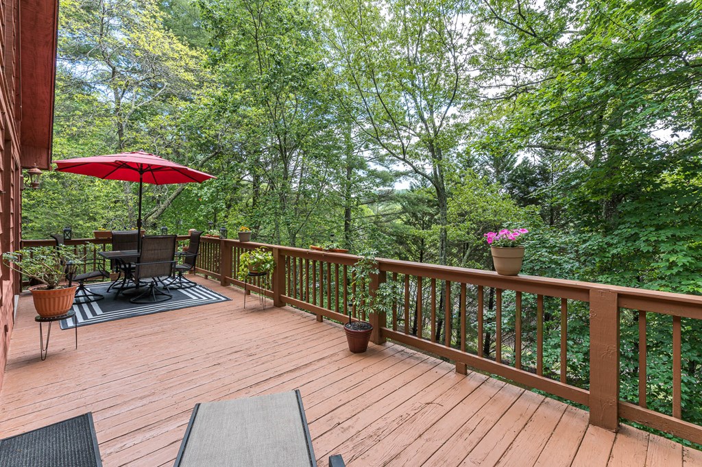 186 Brasstown Hills Rd, BRASSTOWN, North Carolina image 14