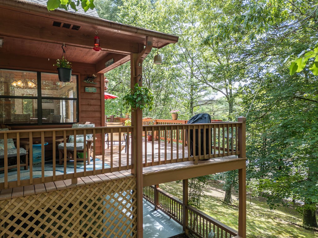 186 Brasstown Hills Rd, BRASSTOWN, North Carolina image 43