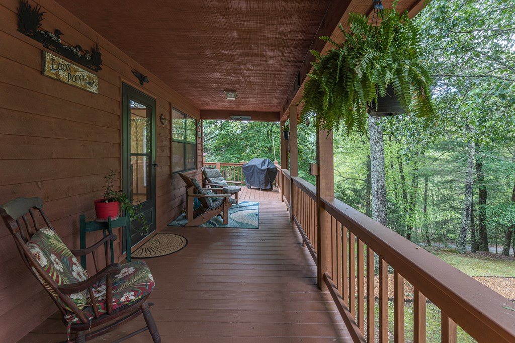 186 Brasstown Hills Rd, BRASSTOWN, North Carolina image 4