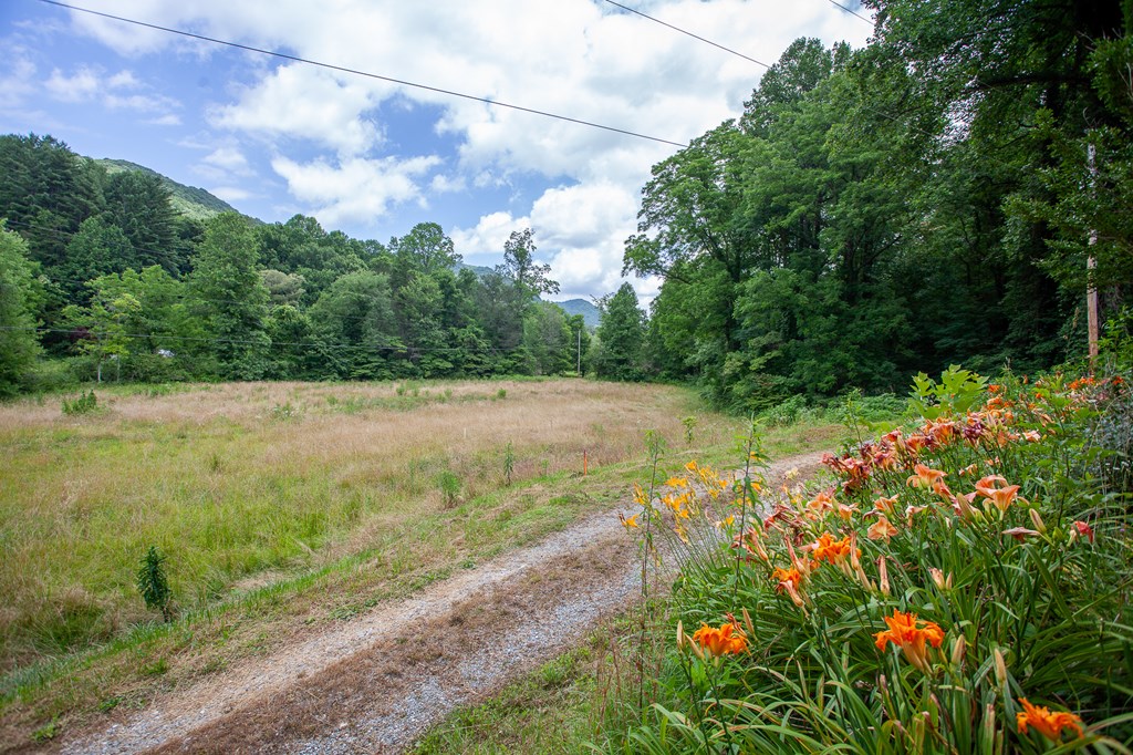 6758 Yellow Creek Road, ROBBINSVILLE, North Carolina image 44