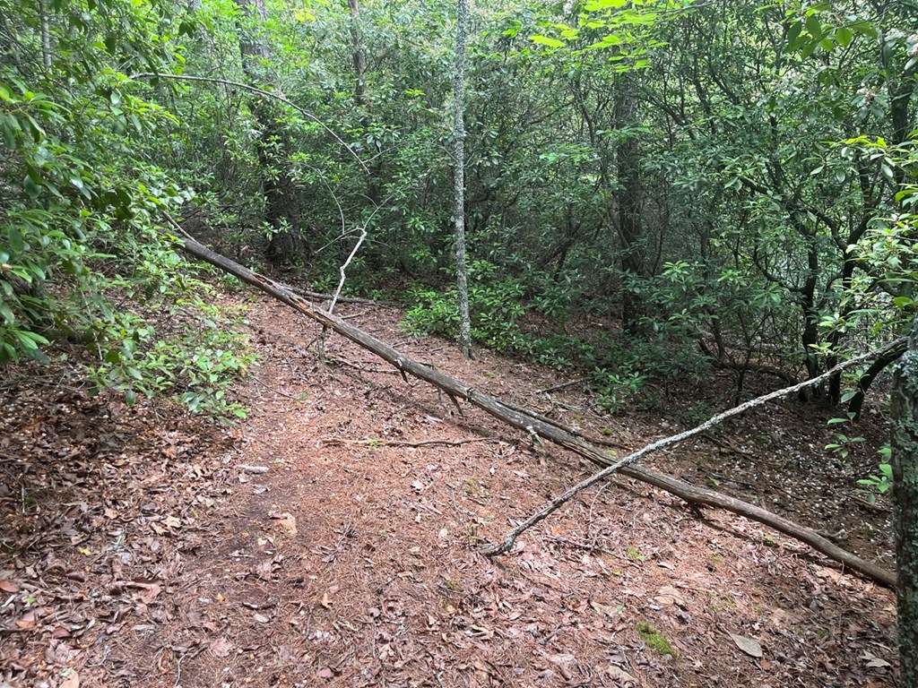 289 Paradise Park, MURPHY, North Carolina image 7
