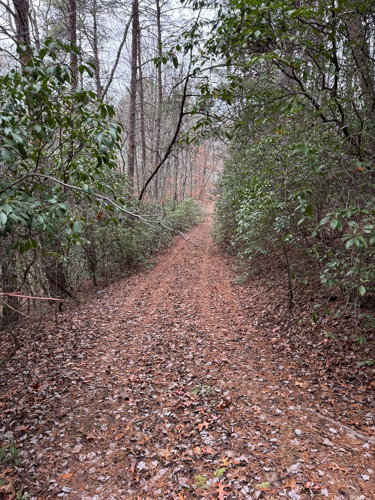 289 Paradise Park, MURPHY, North Carolina image 8