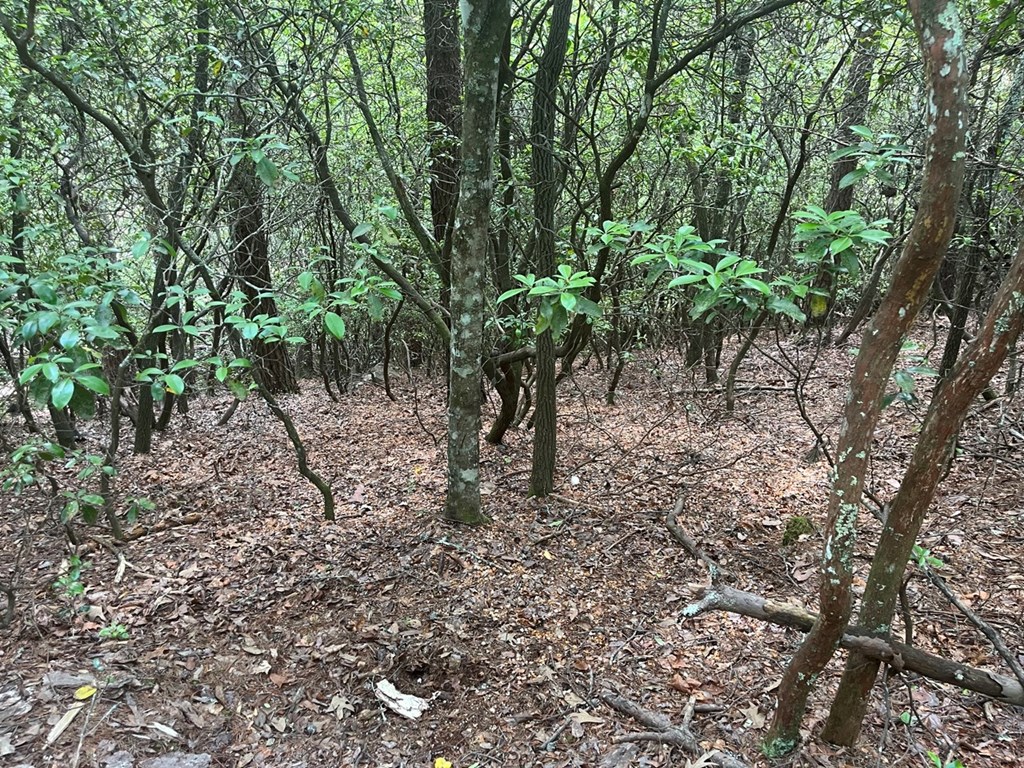 289 Paradise Park, MURPHY, North Carolina image 6