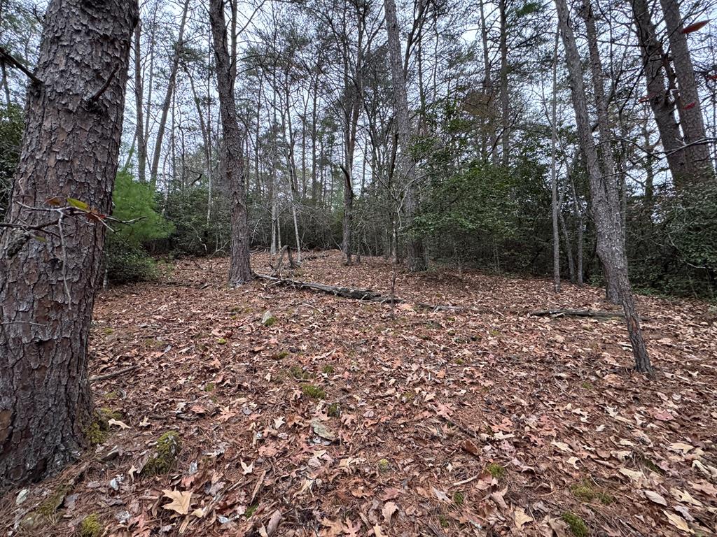289 Paradise Park, MURPHY, North Carolina image 1
