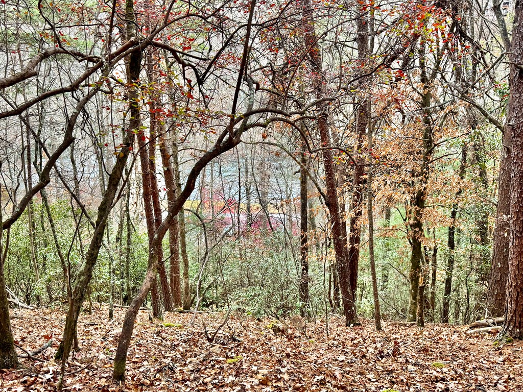 289 Paradise Park, MURPHY, North Carolina image 2