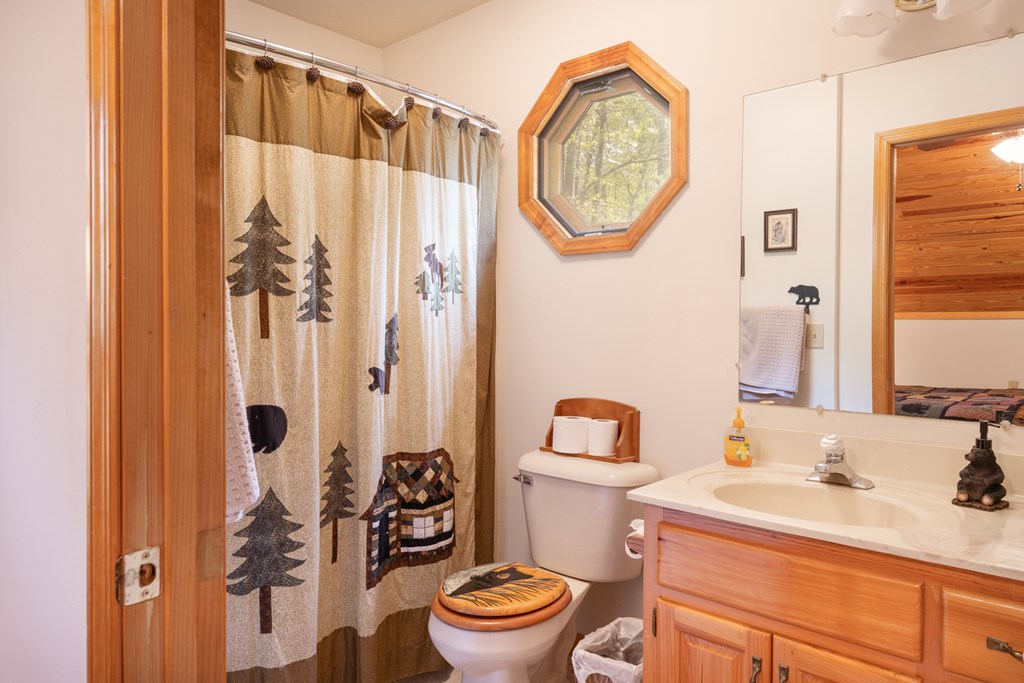 374 Country Lane, MURPHY, North Carolina image 23